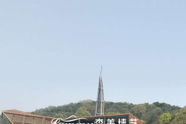 浙江舟山西軒島漁業基地木紋漆項目