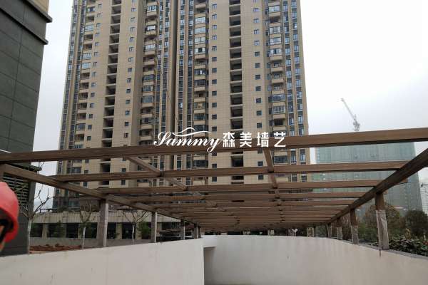 湖北省武漢市江夏區江夏一中木紋漆項目
